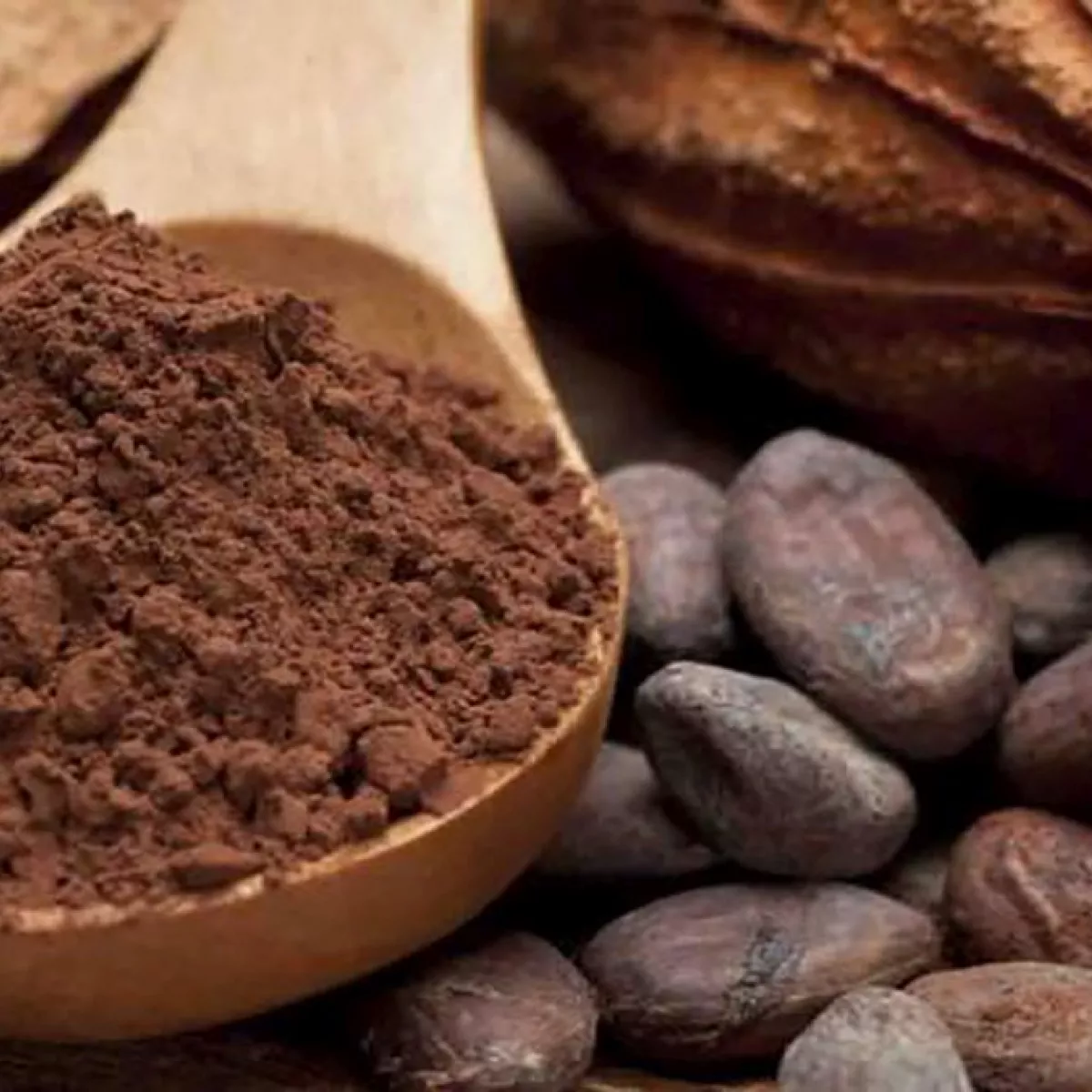 cacao_natural-min.jpg.webp